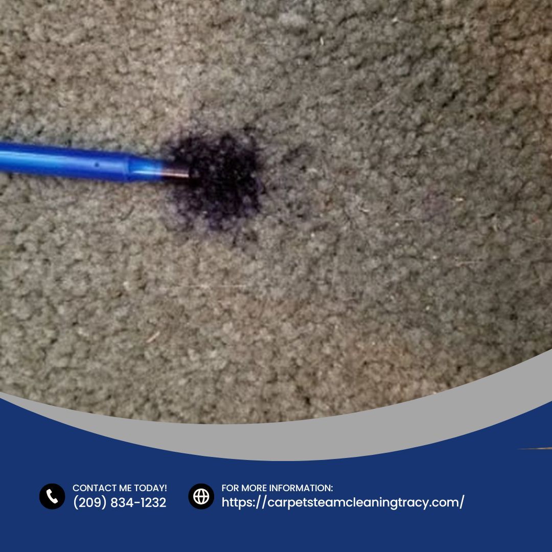 Small carpet issues can grow over time, which is why my carpet cleaning focuses on addressing buildup and wear before it becomes harder to manage. I work carefully to refresh fibers and improve overall appearance. Reach out today!
#CarpetCl